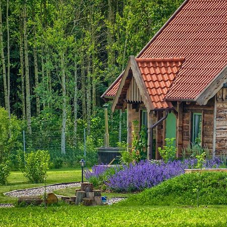 Villa Zielone Lawki Ryn  Esterno foto