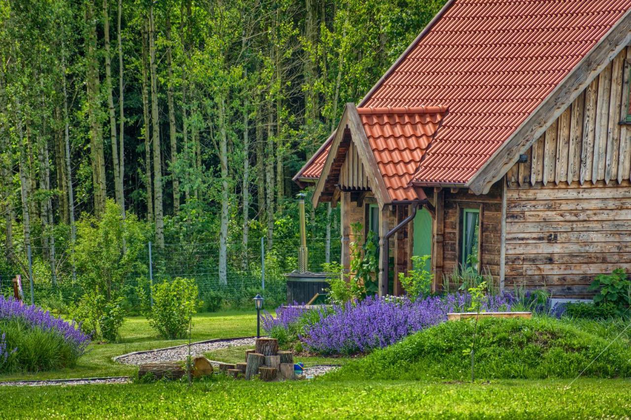 Villa Zielone Lawki Ryn  Esterno foto