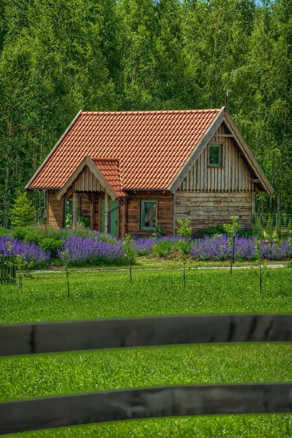 Villa Zielone Lawki Ryn  Esterno foto